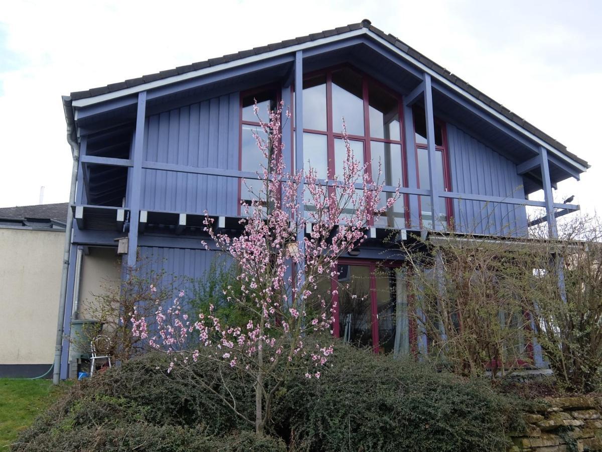 Blaues Haus - Une Maison Bleue Hetzerath ภายนอก รูปภาพ