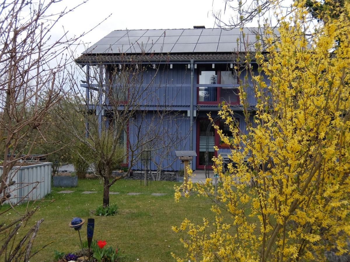 Blaues Haus - Une Maison Bleue Hetzerath ภายนอก รูปภาพ